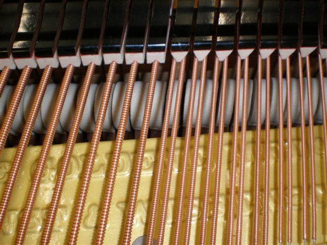 Melbourne recommended piano tuner